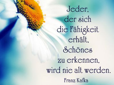 Sinnliche Sprüche Zum Geburtstag
