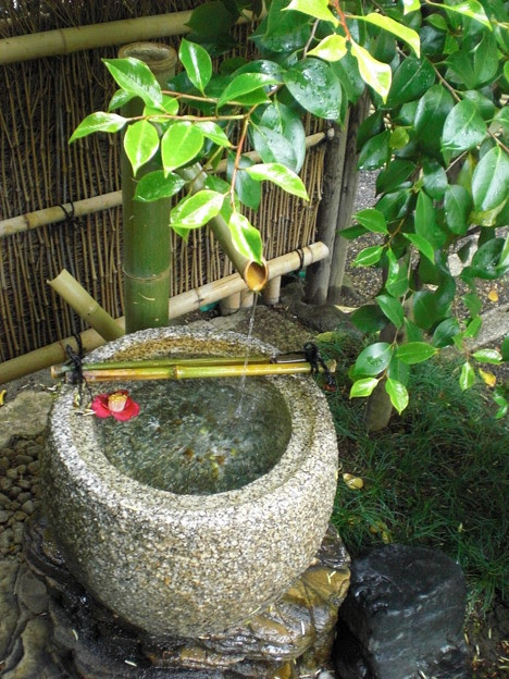 手水鉢 Photo Sharing Photozou