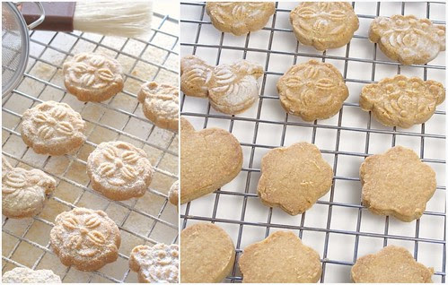 Picnik collage Soy Cookie
