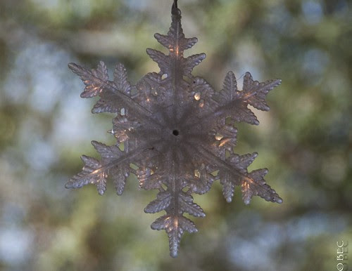 WE 20121207-44