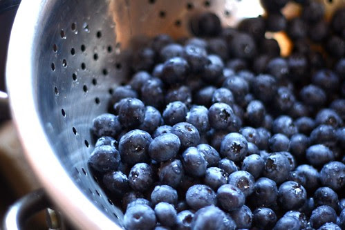 blueberry pie