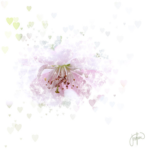 Hearts