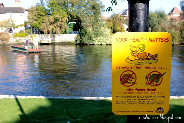 Christchurch