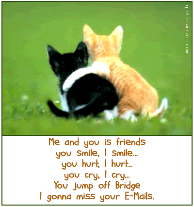 best friend quotes. est friend quotes funny. est