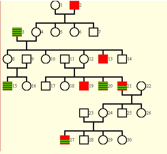 Bluterkrankheit Rot Grun Schwache Bio Lk Forum Biologie