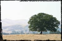 Img_2723web