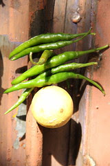 Unki Dil Ki Dukan Par Limbu Mirchi Latakte  Hain by firoze shakir photographerno1