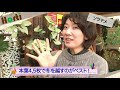 そら豆 花が落ちる 307433-そら豆 花が落ちる