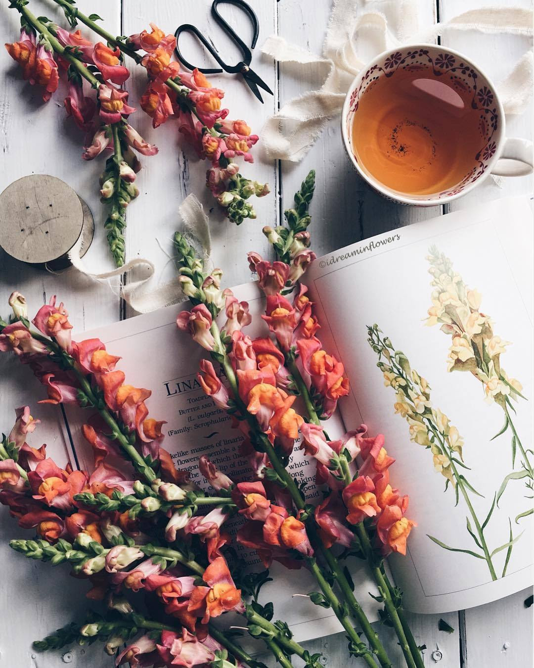freshbrewedlife:
“Julie | @idreaminflowers
”