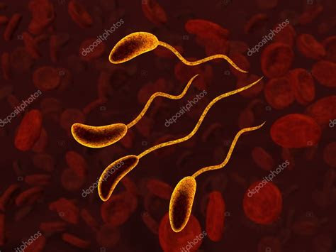 bacteria  blood stock photo  knorre