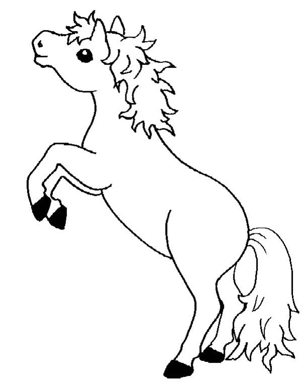 Small Horse Coloring Pages at GetColorings.com | Free ...