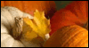 Your Beautiful Reminder -- Thanksgiving eCard from Blue Mountain