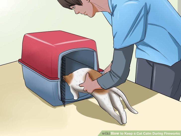 Keep a Cat Calm During Fireworks Step 4 Version 2.jpg