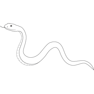 白黒モノクロ ねずみイラスト