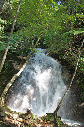 DSC00979