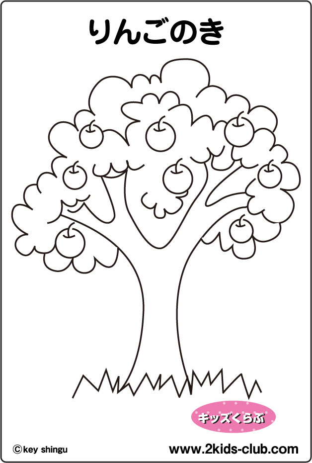 塗り絵 りんごのき