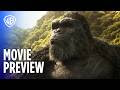 画像をダウンロード don king kong 2021 809491