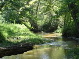 Carroll County