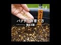 [最も欲しかった] パクチー 発芽 植え替え 191746-パクチー 発芽 植え替え