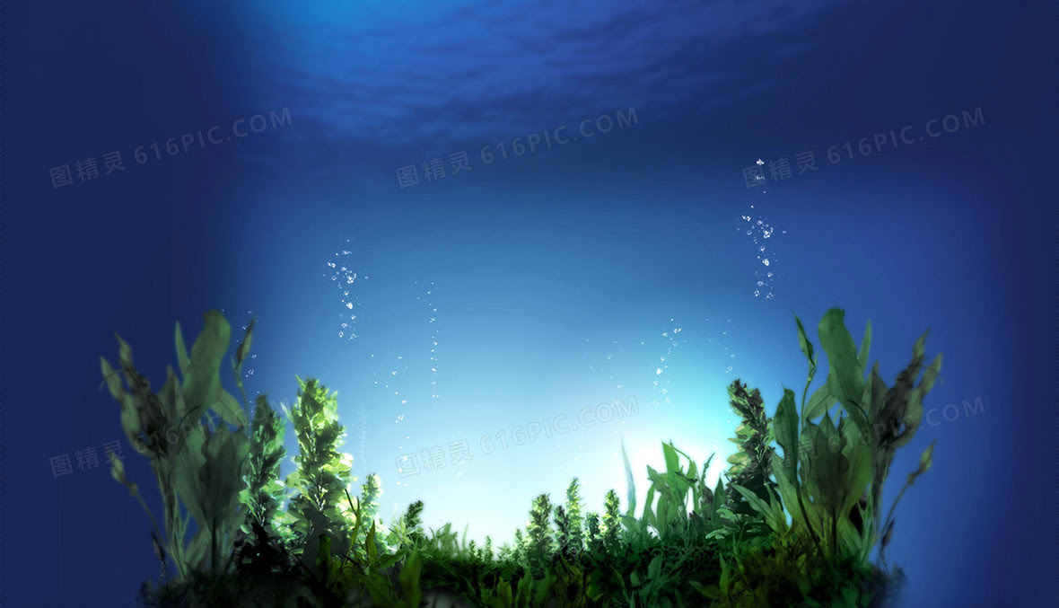 夏日清凉海藻蓝色背景素材背景图片下载 34x00像素jpg格式 编号1pyfl4kx1 图精灵