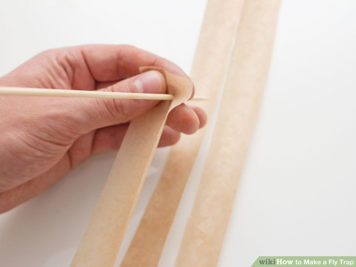 Make a Fly Trap Step 32 Version 3.jpg