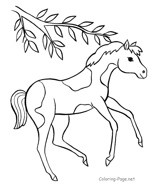 free barbie horse coloring pages download free clip art