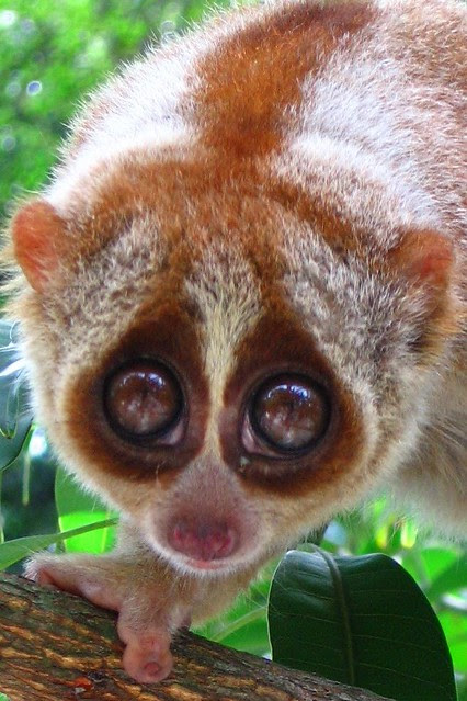 Soal Jawab : Duit Palsu Dan Sihir  Ustaz Love Menulis