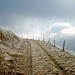 Chemin de givre.
