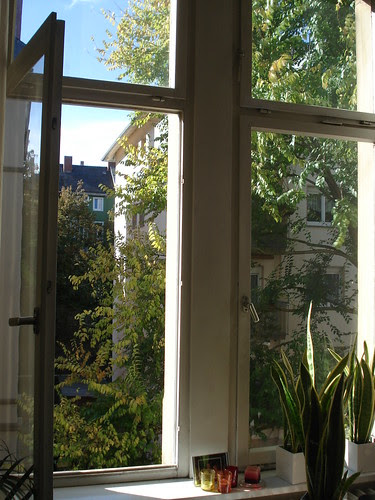 DSC03569