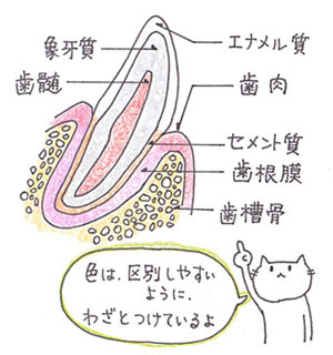 坂井獣医科動物病院