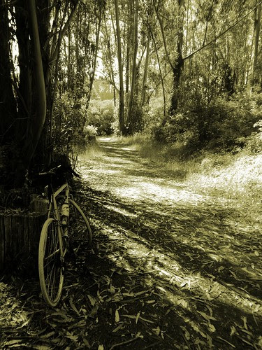 Tilden Park