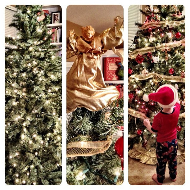 Steps to decorating a Christmas Tree... #christmas