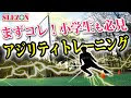 [最も人気のある！] アジリティトレーニング サッカー 284863