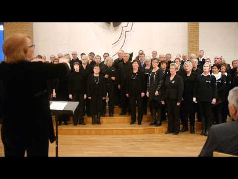 Vem kan segla forutan vind.wmv