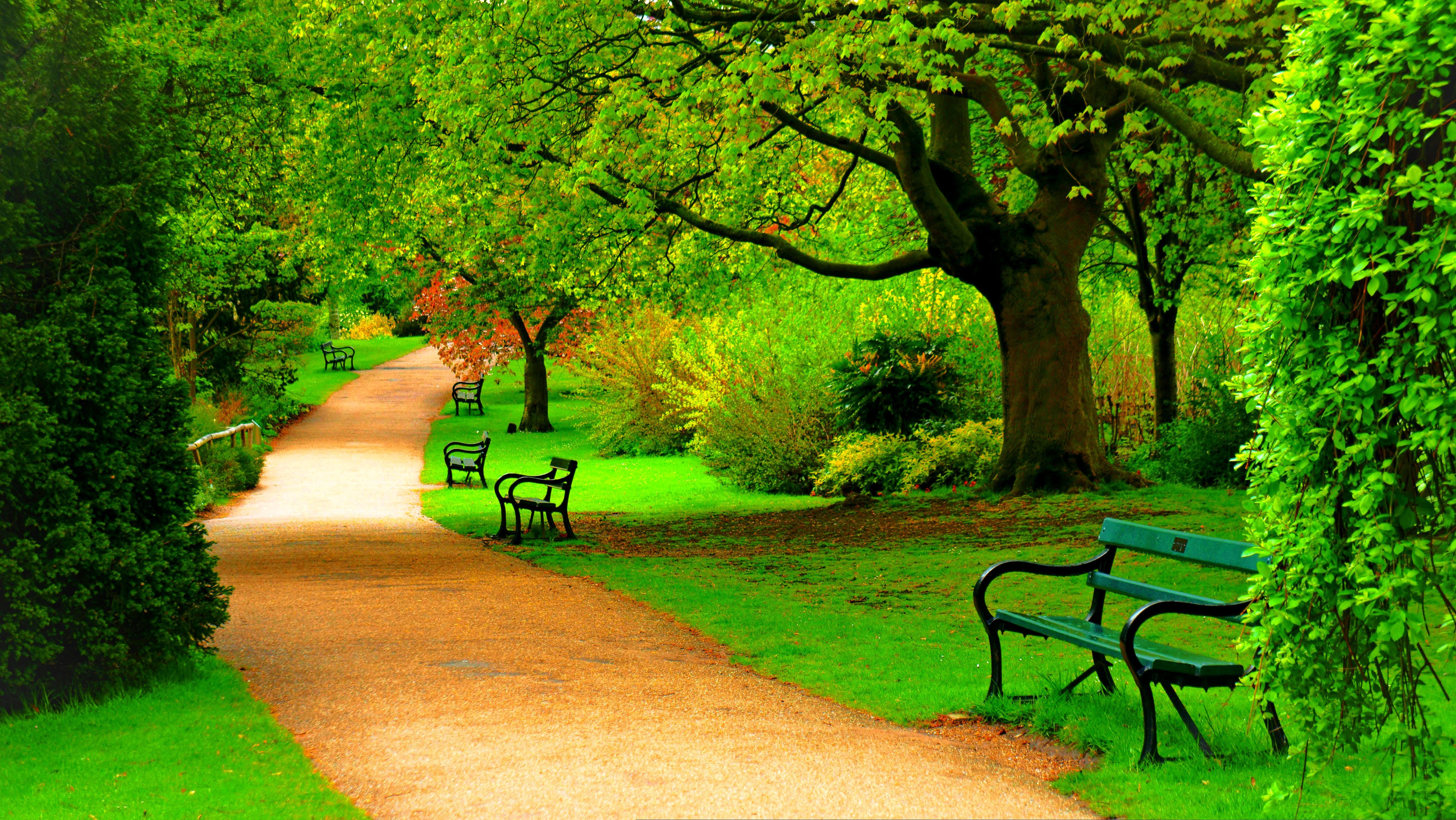 Hd Nature Wallpapers
