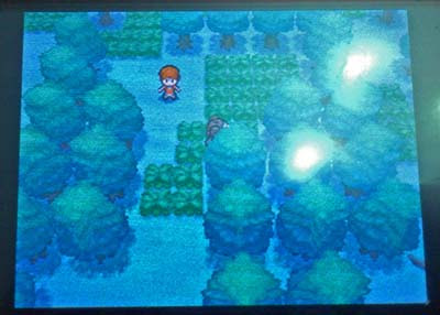 Lucaブログ ポケモンｂｗ２はじめました リオル出現場所