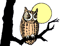Burung Hantu Gif Gambar Animasi Animasi Bergerak 100 Burung Hantu Gif Gambar Animasi Animasi Bergerak 100