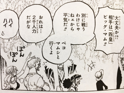 ワンピース巻 かぃ賊