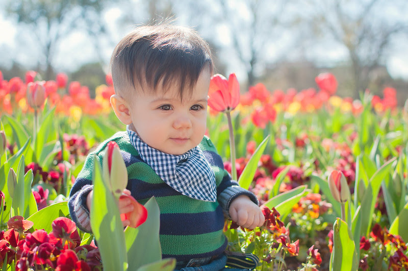 Abigail Ariston Tulip-31-1web