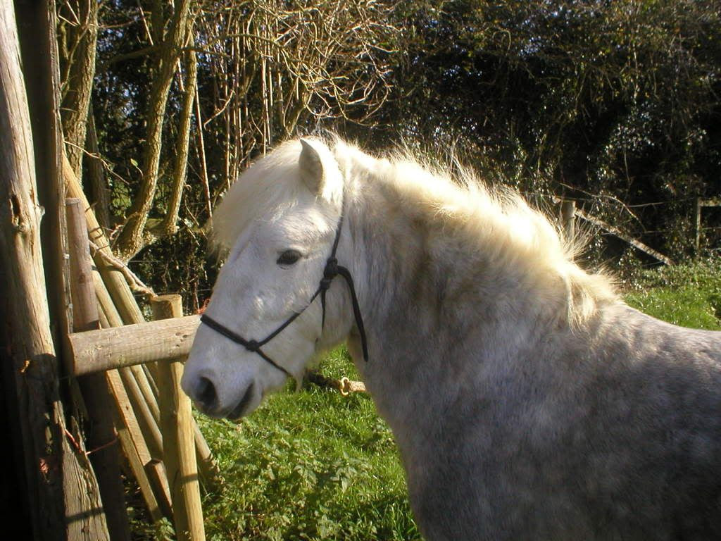 2008