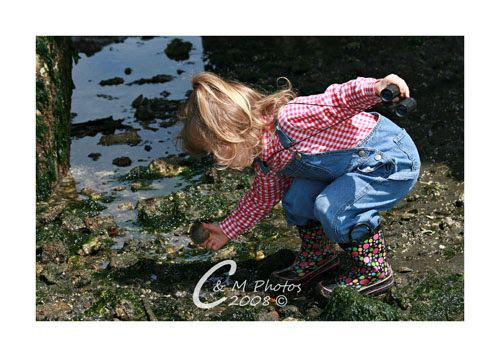 June1008_0004ew