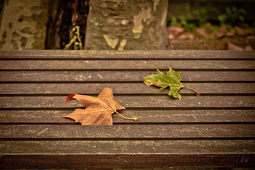 Otoño en Getxo