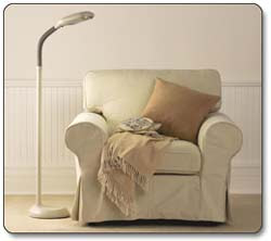 Verilux Original Natural Spectrum Floor Lamp, Graphite Product Shot