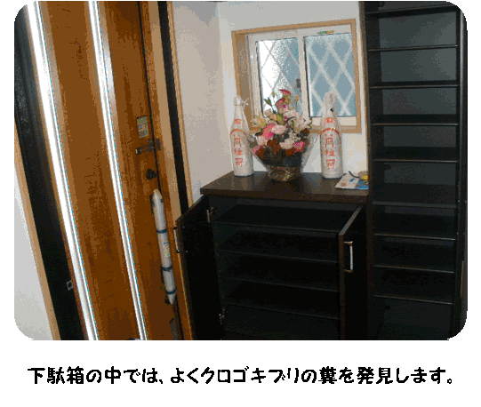 ゴキブリ対策 入居前のゴキブリ予防対策 株 Tkc