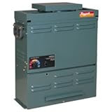 Raypak Versa 55K BTU Propane Gas Pool Heater - Millivolt