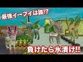 [最新] ポケモン イーブイ ��� 356074-ポケモン イーブイ 氷