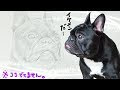 [10000ダウンロード済み√] ���ルドッグ イラスト かっ��いい 325898-ブルドッグ イ��スト かっこいい