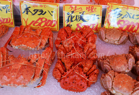 カニ名産地別 全国各地のカニの旬な時期を調べてみました かにめぐり
