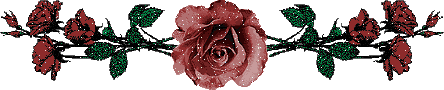 roses-desi-glitters-76