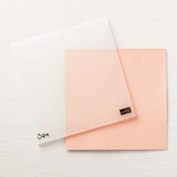 Subtle Dynamic  Textured Impressions Embossing Folder